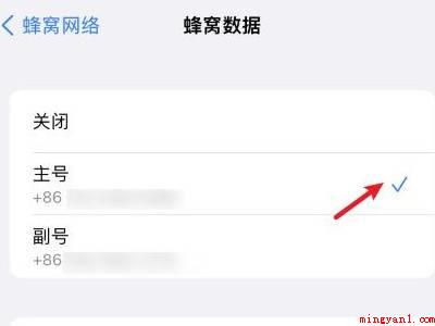 苹果13怎么设置双卡双待(苹果13如何设置双卡双待的实际操作步骤)