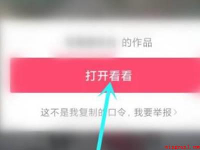 微信复制的抖音口令怎么打开(演示机型:Iphone 13)