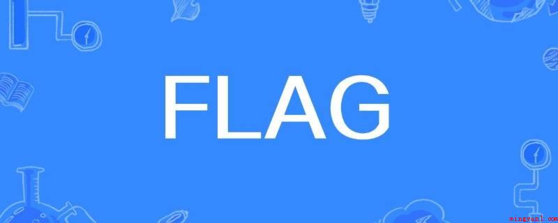 flag是什么意思中文(网络流行词,二次元术语,英语单词本意为旗子、标识)