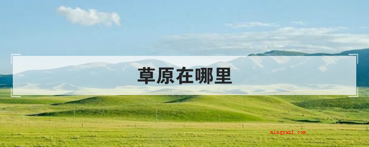 草原在哪里(简略回应在我国五大草原)
