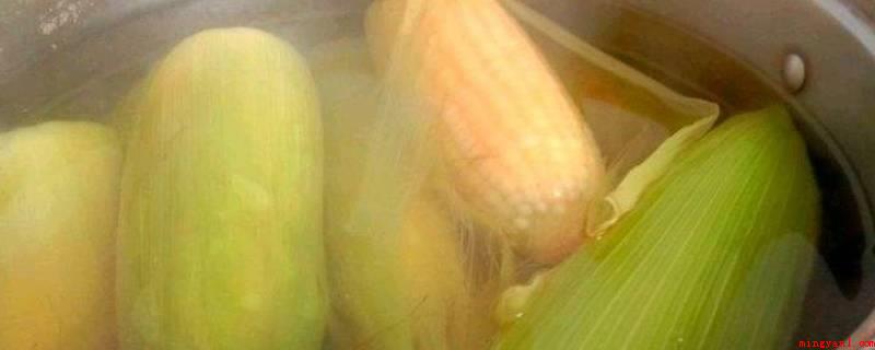 玉米要煮几分钟才熟(十五分钟上下的玉米食物)