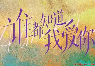 《谁都知道我爱你》原著小说是什么 《谁都知道我爱你》讲的是什么故事 《谁都知道我爱你》原著小说是什么(《谁都知道我爱你》原著小说是啥 讲的是什么故事)
