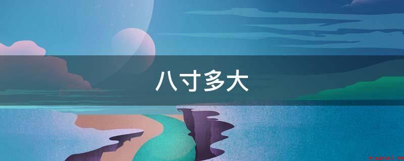 八寸多大（2019年国际性计量检定交流会(CGPM)）