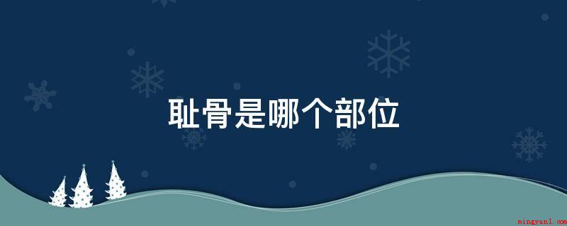 耻骨是哪个部位(耻骨位于人体盆骨的前下边,上下各一,耻骨可以分成耻骨体、耻骨)