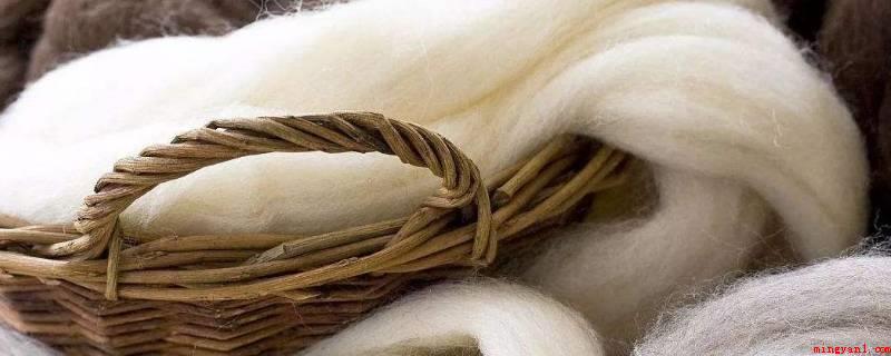 wool是羊绒还是羊毛(鉴定羊毛质量的首要原因)