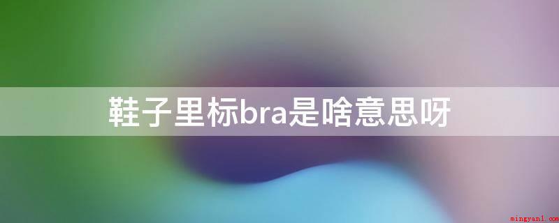 鞋子里标bra是啥意思呀(鞋里标bra的意思这双鞋子是巴西码)
