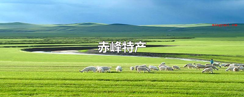 赤峰特产(赤峰的特色产品有赤峰黄玉米、敖汉小米、哈哒火烤、大草原湖奶酒)