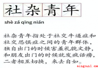 社杂青年是什么意思 如何看待社杂青年 社杂青年(怎样看待社杂青年 具体情况是怎样的)