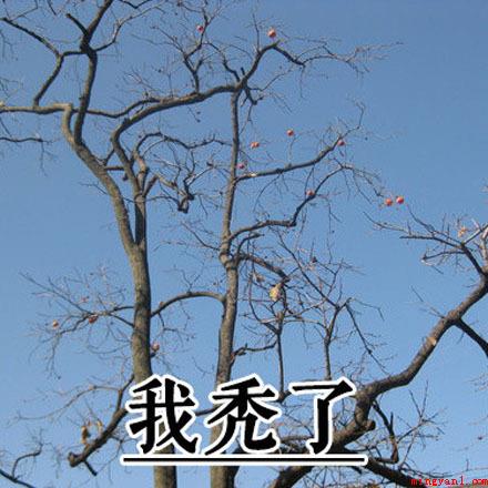 我想开了