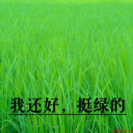 我想开了