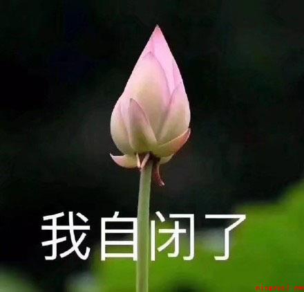我想开了