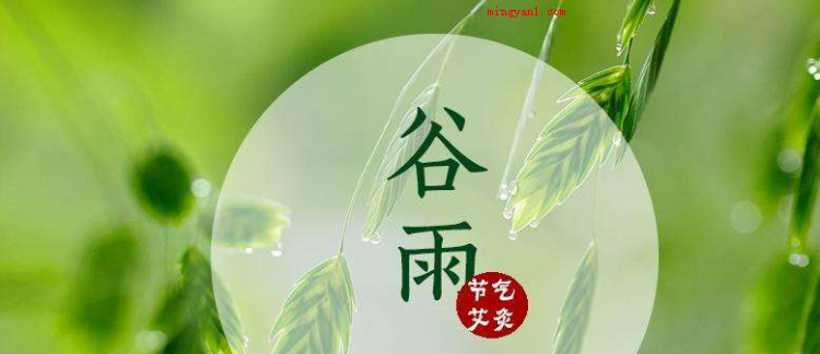 四月份有什么节日(简略回应四月份的节日有,愚人节、清明时节、复活节、春分、地球)