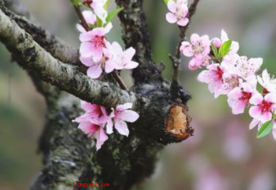 mar是几月(简略回应mar是3月,春天的第一个月,是March的英语缩写)