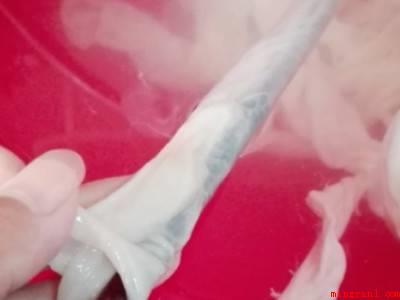 网上买的肠衣怎么清洗没味(肠衣粗略地清理一遍,添加20克水淀粉,泡浸10分钟去异味)