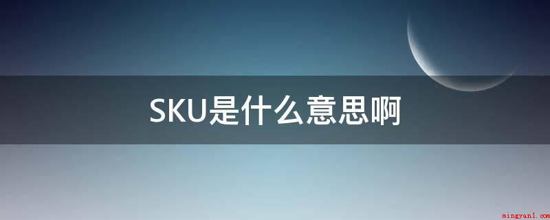 SKU是什么意思啊(SKU即库存量出入计量检定的企业)