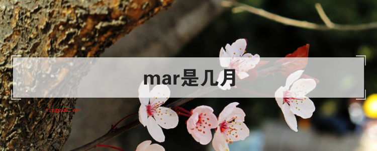 mar是几月(简略回应mar是3月,春天的第一个月,是March的英语缩写)