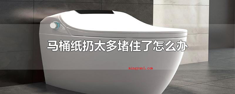 马桶纸扔太多堵住了怎么办(马桶纸扔过多塞住了该怎么办)