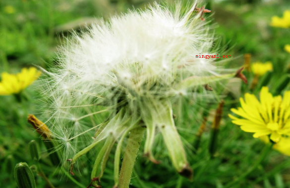 mar是几月(简略回应mar是3月,春天的第一个月,是March的英语缩写)