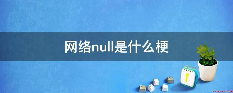 网络null是什么梗（null的意思是空的,通常帖子里回复是意指楼主帖子无意义）