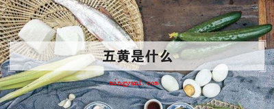 五黄是什么(简略回应五黄关键指的是黄鳝、黄鱼、青瓜、咸鸭蛋黄、雄黄酒)