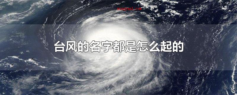台风的名字都是怎么起的(台风来的情况下要注意什么)