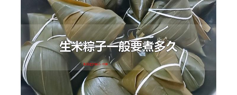 生米粽子一般要煮多久（粽子煮熟以后尽量不要焖一夜,粽子一般在端午佳节时服用）