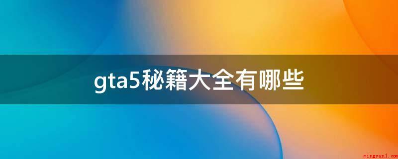 gta5秘籍大全有哪些（Online模式中不能应用）