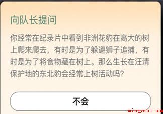 生长在汪清保护地的东北豹会经常上树活动吗 汪清保护地巡护答案 生长在汪清保护地的东北豹会经常上树活动吗