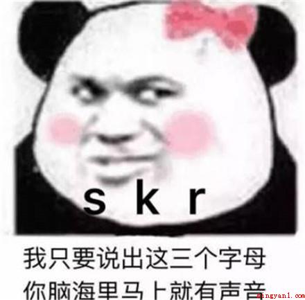 skr怎么读法介绍是什么意思(skr怎么读法介绍)