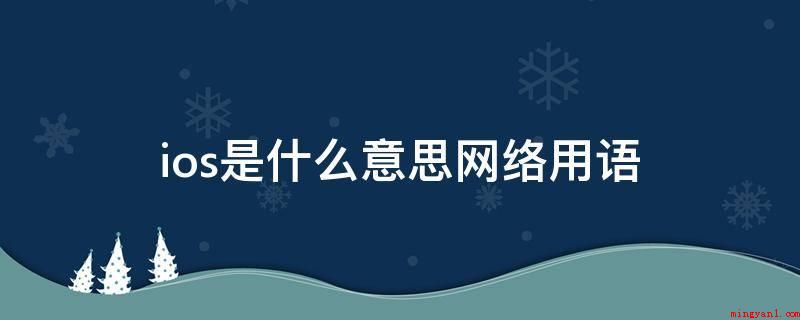 ios是什么意思网络用语(IOS客户便是ios系统的应用者的意思)