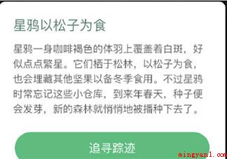 星鸦会像松鼠一样储存冬粮吗 蚂蚁森林汪清保护地答案 星鸦会像松鼠一样储存冬粮吗