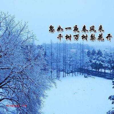 忽如一夜春风来是描写的什么季节?(冬天)