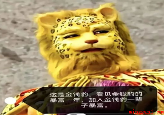 抖音金钱豹梗是什么意思 金钱豹头像为什么火了 抖音金钱豹梗(抖音短视频金钱豹梗是什么意思)