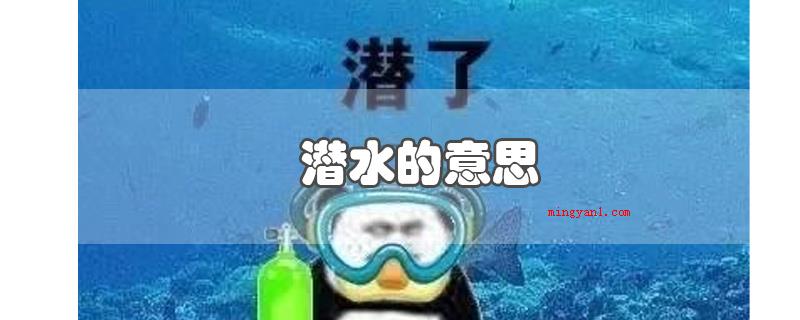潜水的意思(最开始指只看帖子而不发表意见)