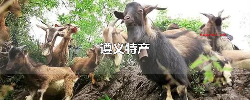 遵义特产(遵义特产有贵州茅台酒,赤水金钗石斛、赤水乌骨鸡、黔北麻羊、凤)