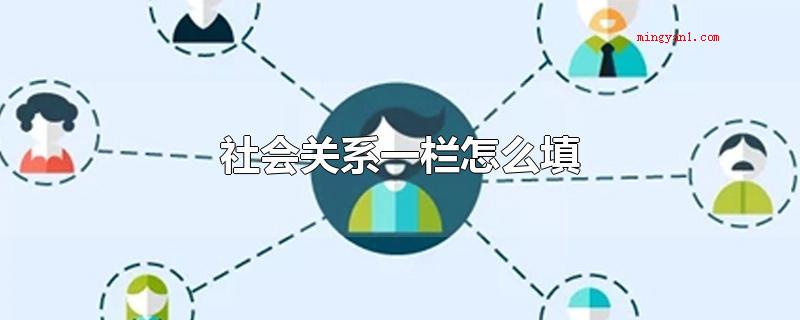 社会关系一栏怎么填（社会关系通常是先填写父子俩或是父亲和女儿,填写爱人的名称,就）