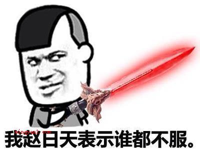 赵日天是什么梗是什么梗（赵日天,网络虚拟人物。）