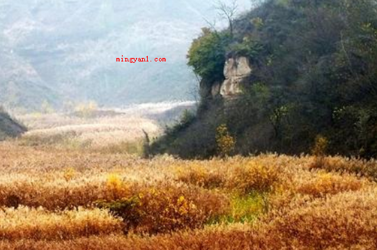 穆柯寨在哪里（简略回应穆柯寨坐落于陕西省西安临潼城,海拔高度约800米的骊）