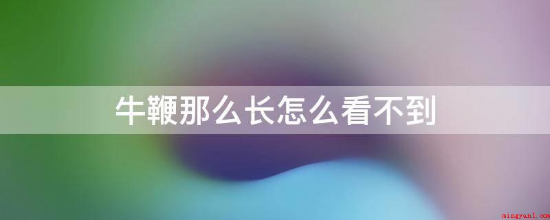 牛鞭那么长怎么看不到(牛鞭那么长看不见的根本原因)
