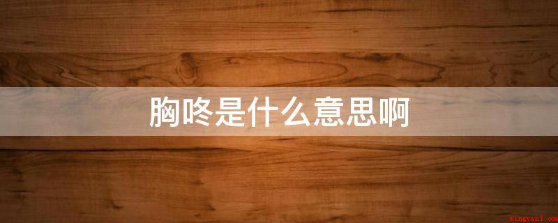 胸咚是什么意思啊(“胸咚”是女孩忽然用两手围攻男生的胸部,发出“咚”的一声)