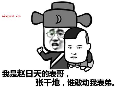 赵日天是什么梗是什么梗（赵日天,网络虚拟人物。）