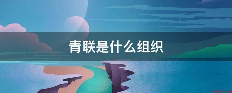 青联是什么组织(十三届全国各地青联委员会1375名)