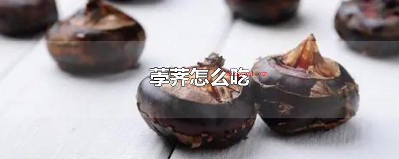 荸荠怎么吃(荸荠是中国的特色蔬菜水果之一)