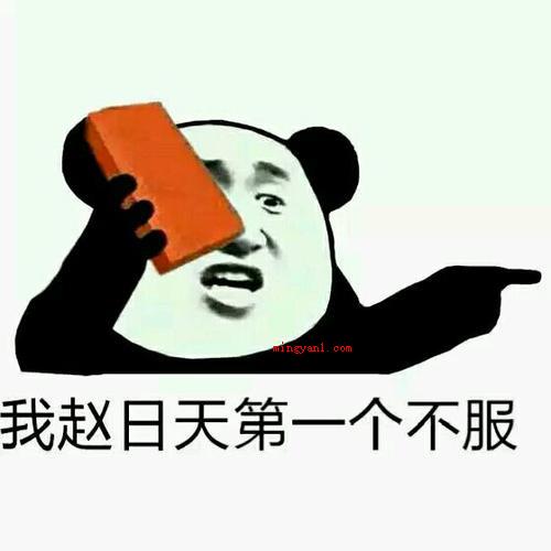 赵日天是什么梗是什么梗（赵日天,网络虚拟人物。）