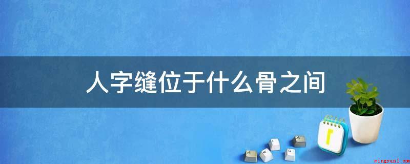 人字缝位于什么骨之间(人字缝位于枕骨与顶骨中间)