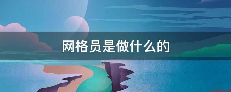 网格员是做什么的(社区网格员的管控与服务方式)