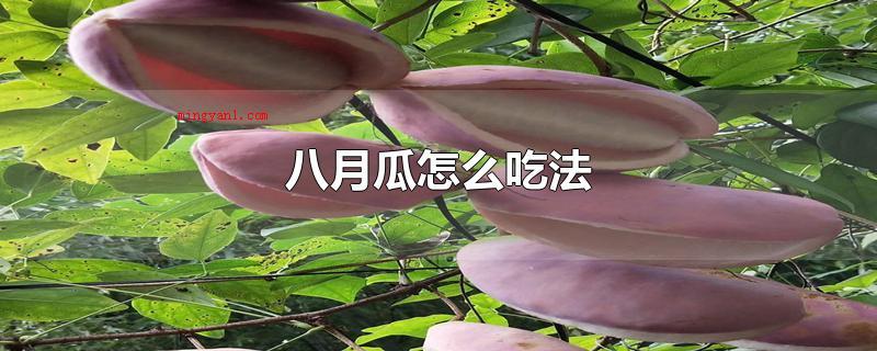 八月瓜怎么吃法(八月瓜可以立即食用或是混和老冰糖纯蜂蜜食用)