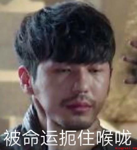 bygg梗意思、出处、含义、介绍是什么意思(bygg梗意思、出处、含义、介绍)