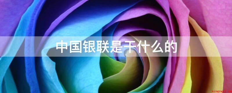 中国银联是干什么的(中国银联营销推广统一的银行卡技术标准)