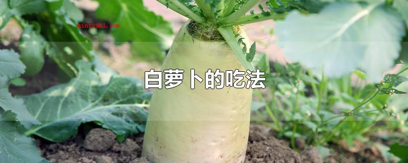 白萝卜的吃法(可生吃、熟菜,可凉拌、熬汤、清炖、腌渍、炒、蒸、炖、做丸子、)